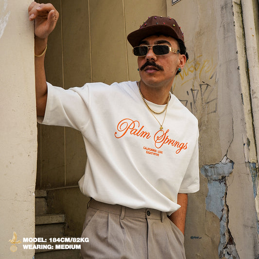 PALM SPRINGS OVERSIZE T-SHIRT